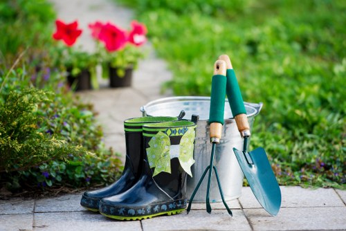 Professional lawn mowing service in Shepherds Bush