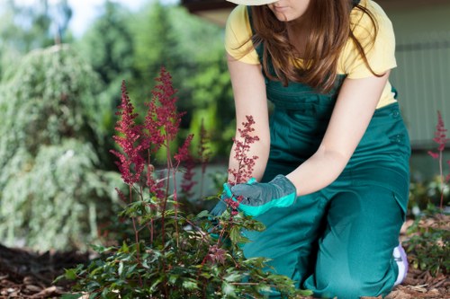 Urban landscape gardening benefits