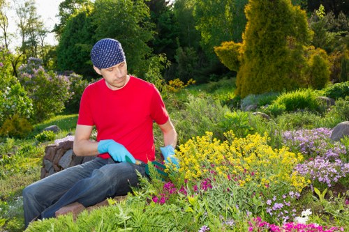 Seasonal garden tasks illustration
