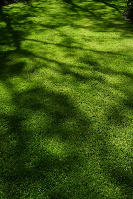 A man wearing glasses, a checkered shirt, and light-colored jeans is kneeling on a neatly trimmed lawn, operating a petrol-powered lawn mower for garden maintenance. The lawn mower has a black and sil